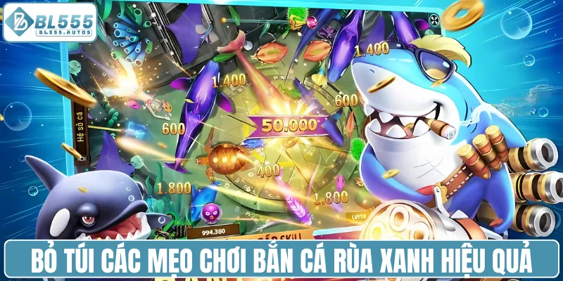 Bỏ túi các mẹo chơi bắn cá Rùa Xanh hiệu quả